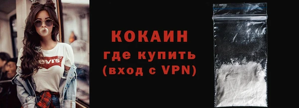 ПСИЛОЦИБИНОВЫЕ ГРИБЫ Инта