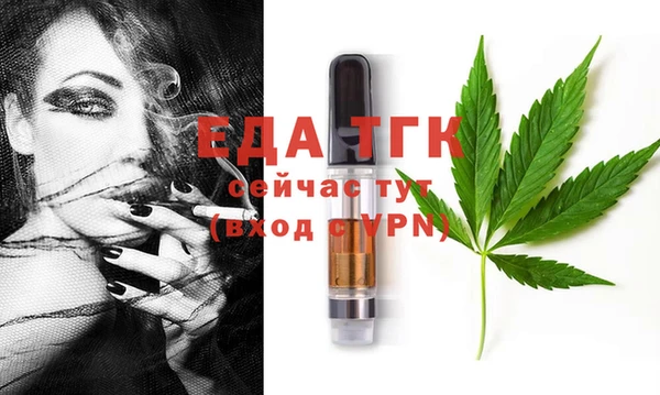 ПСИЛОЦИБИНОВЫЕ ГРИБЫ Инта