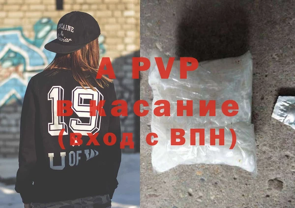 ПСИЛОЦИБИНОВЫЕ ГРИБЫ Инта