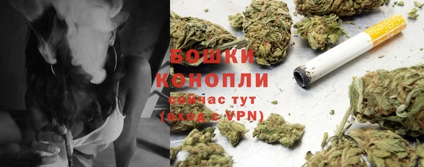 ALPHA PVP Иннополис