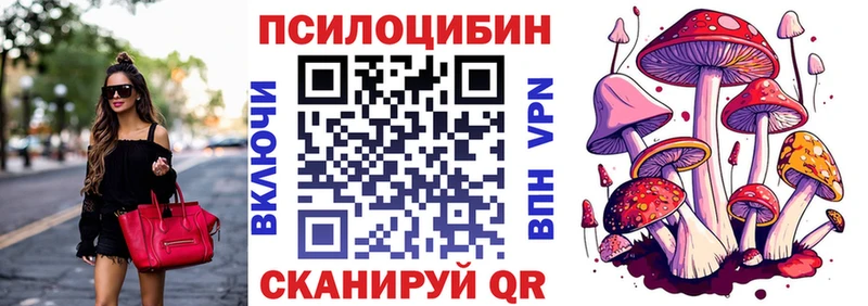 Купить  Тетюши  Псилоцибиновые грибы Psilocybe 